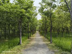 -嘉北郊野公园