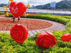 -野狸岛