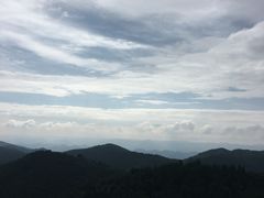 -武陵山森林公园
