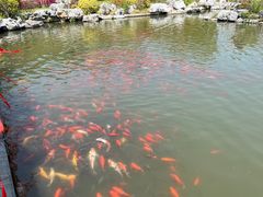 -狼山风景名胜区