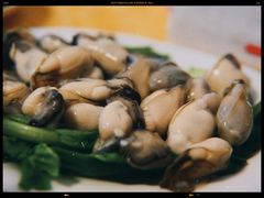 -金砂阿洲鱼册店