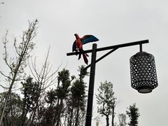 -枫香湖儿童公园