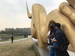 -两河城市森林公园