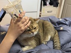 -富士康足浴休闲会所(锦华苑店)