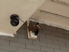 -南沙十九涌渔人码头-南门