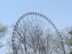 -蠡湖大桥公园