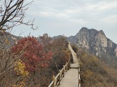 -大岭沟猕猴桃谷风景区