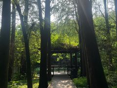 -同里国家湿地公园