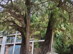 -七曲山风景区