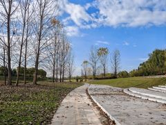 -洨河生态公园