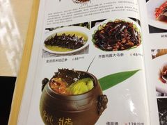 -天津医科大学第二医院