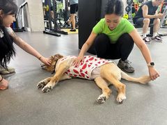 -VPsmart私教健身工作室(新华路旗舰店)