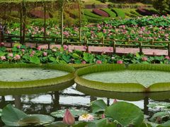 -广州莲花山旅游区