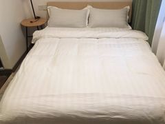 -大隐国际青年旅舍(上海陆家嘴东方明珠店)