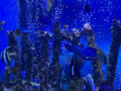 -太平洋海底世界