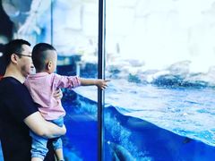 -华夏文旅海洋公园