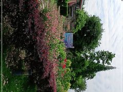 -金谷域澳洲庄园