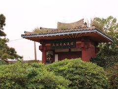 -洛阳古墓博物馆