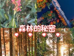 -重庆彩云湖湿地公园