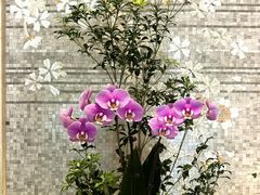 -海悦山庄酒店-花园泳池