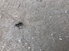 -碓臼峪自然风景区