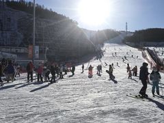 -翠云山银河滑雪场