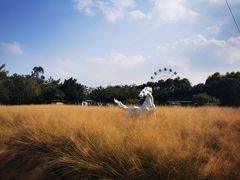-广东花都香草世界旅游度假区