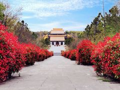 -江苏三台山国家森林公园