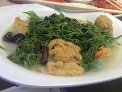 -港升鱼师傅·中山脆肉鲩