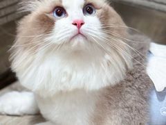 -瑞虹新天地月亮湾