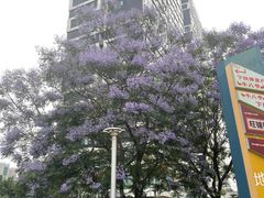 -迎晖路(地铁站)