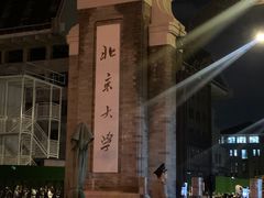 -北京大学百年讲堂