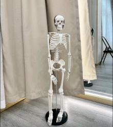 -亚太瑜伽普拉提学院