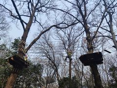 -WeLope紫金山探险公园