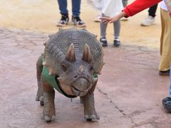 -世界恐龙谷景区