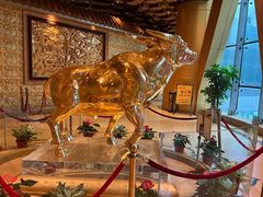 -华西龙希国际大酒店旅游观光景区