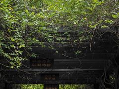 -九龙潭景区