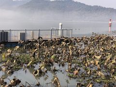 -东钱湖旅游度假区