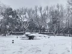 -山东大学(趵突泉校区)