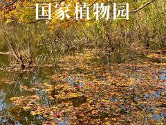 -国家植物园