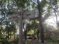 -大兴滨河森林公园