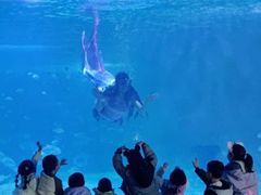 -常州海昌海洋探索馆