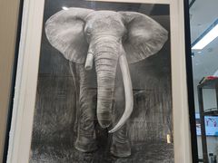 -清岚画室少儿美术培训(平江校区)