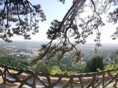 -北京西山国家森林公园