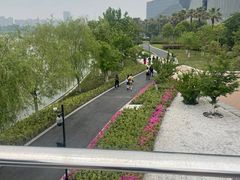 -金沙湖公园