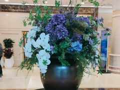 -北京广安门维景国际大酒店