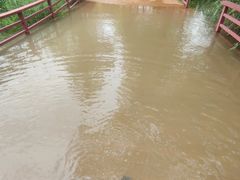 -绿堤公园