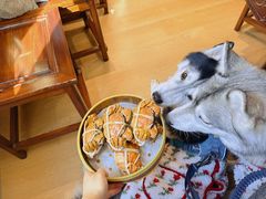 -七的湖·江南蟹舫·阳澄湖农家菜(蟹舫苑店)