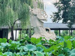 -白洋淀风景区