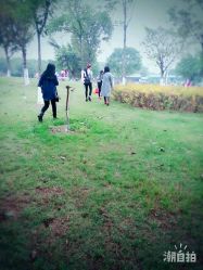 点击看大图 -云湖游乐园